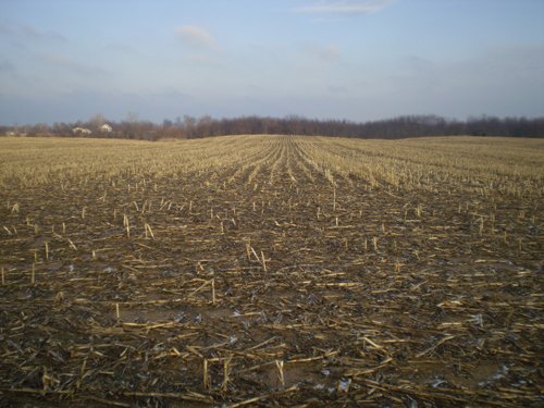 Property photo 5 - 71 Acres Offered in 2 Tracts